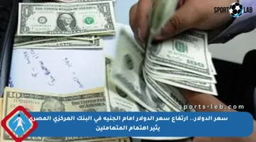 سعر الدولار.. ارتفاع سعر الدولار أمام الجنيه في البنك المركزي المصري يثير اهتمام المتعاملين